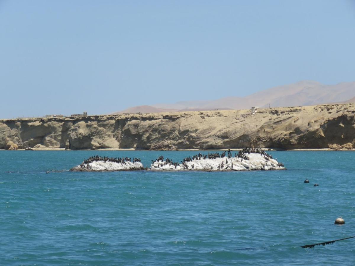 Paracas Apartment Экстерьер фото